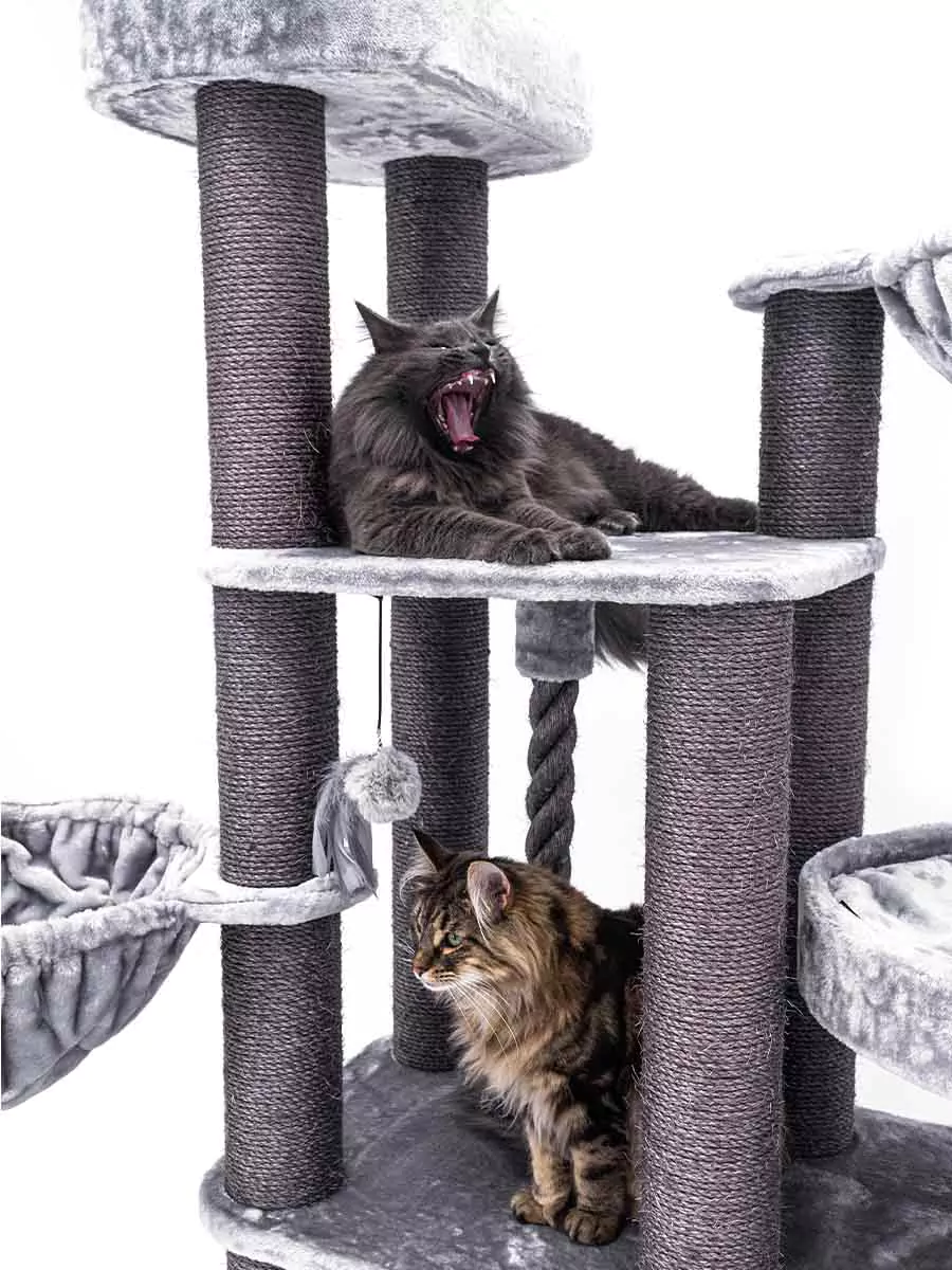 Vista 170 Grijze Kattenkrabpaal - Afbeelding 4