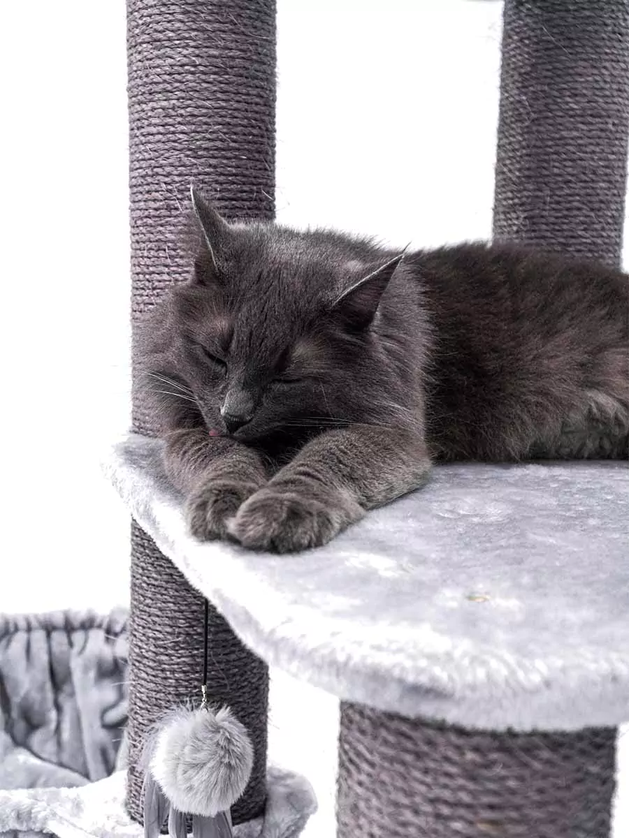 Vista 170 Grijze Kattenkrabpaal - Afbeelding 5