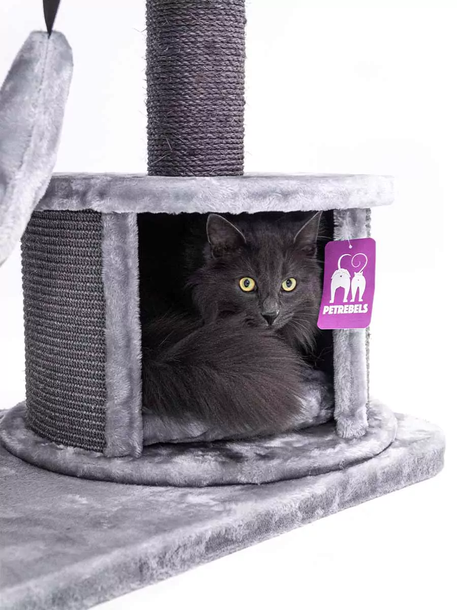 Vista 170 Grijze Kattenkrabpaal - Afbeelding 11