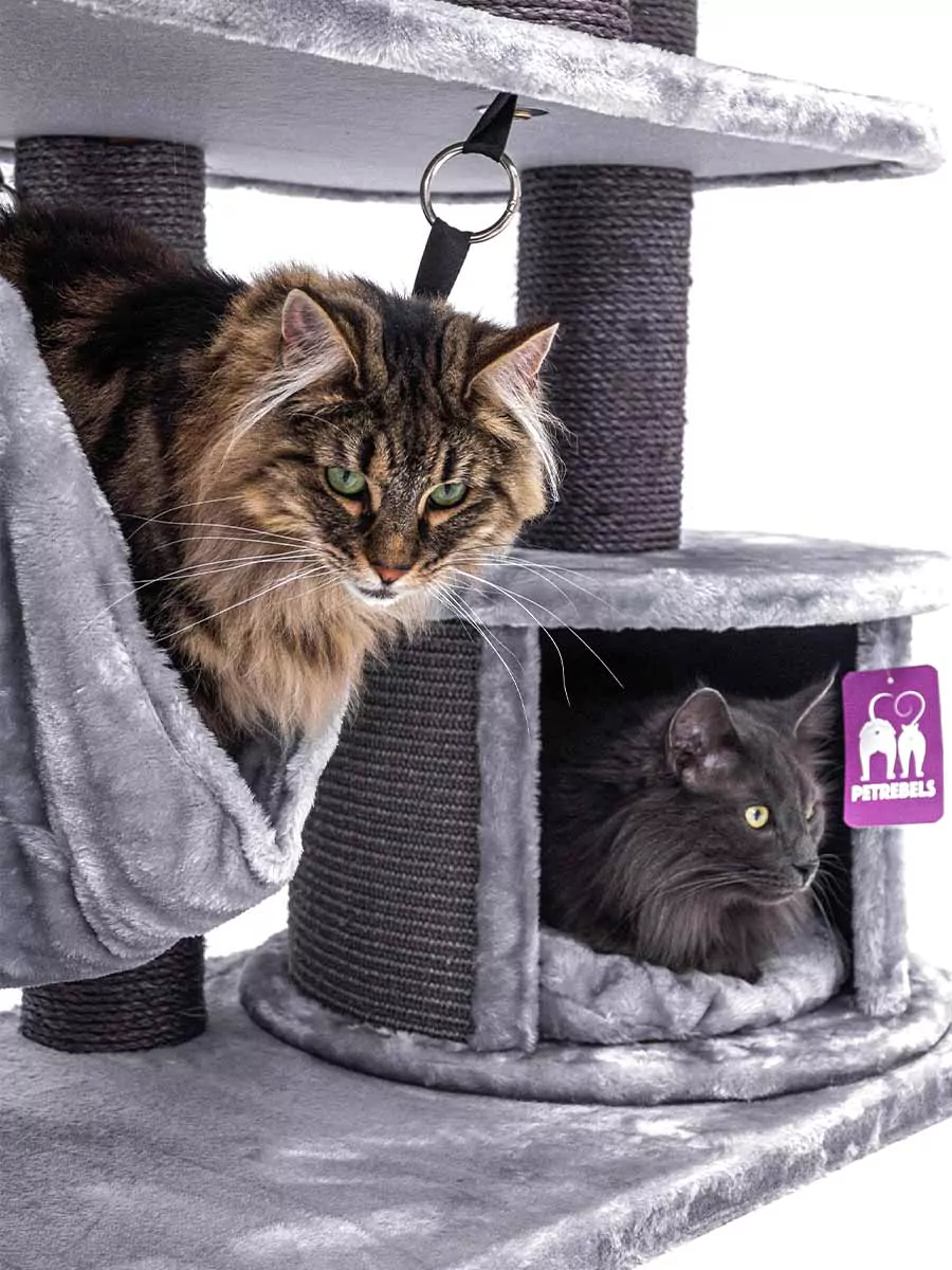 Vista 170 Grijze Kattenkrabpaal - Afbeelding 10