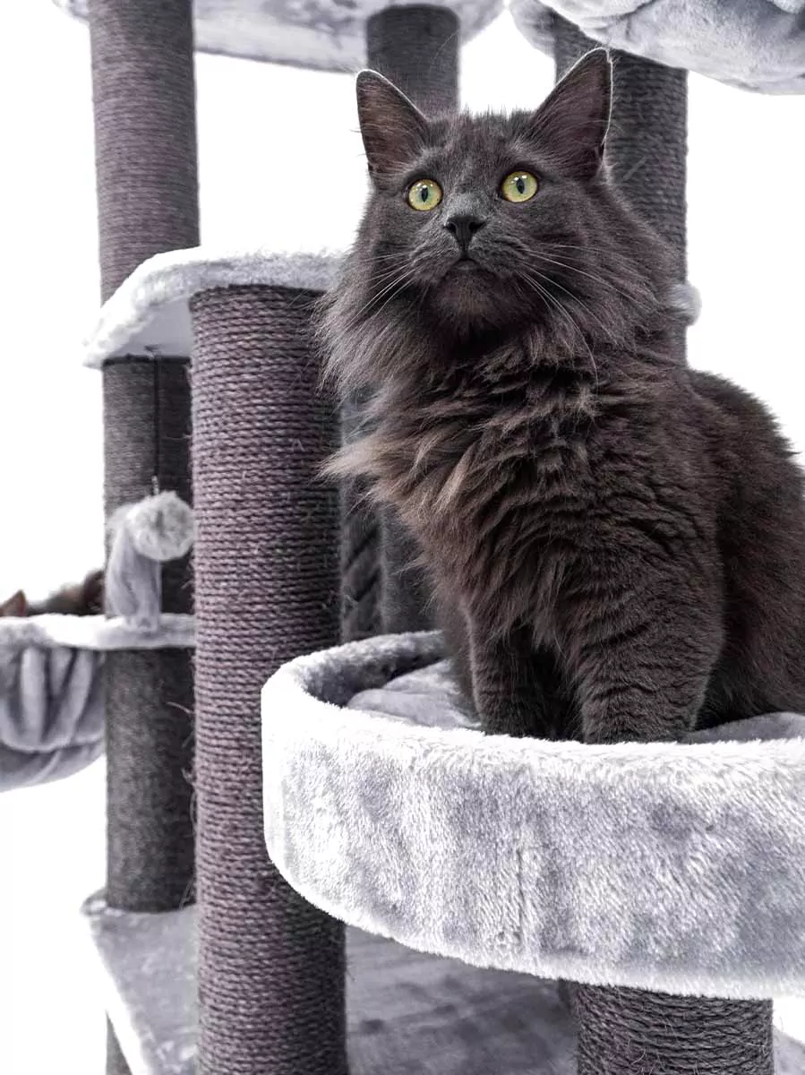 Vista 170 Grijze Kattenkrabpaal - Afbeelding 2