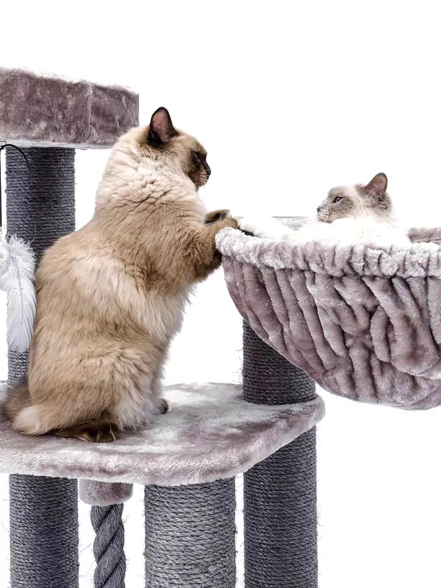 Vista 170 Cappuccino Kattenkrabpaal - Afbeelding 11