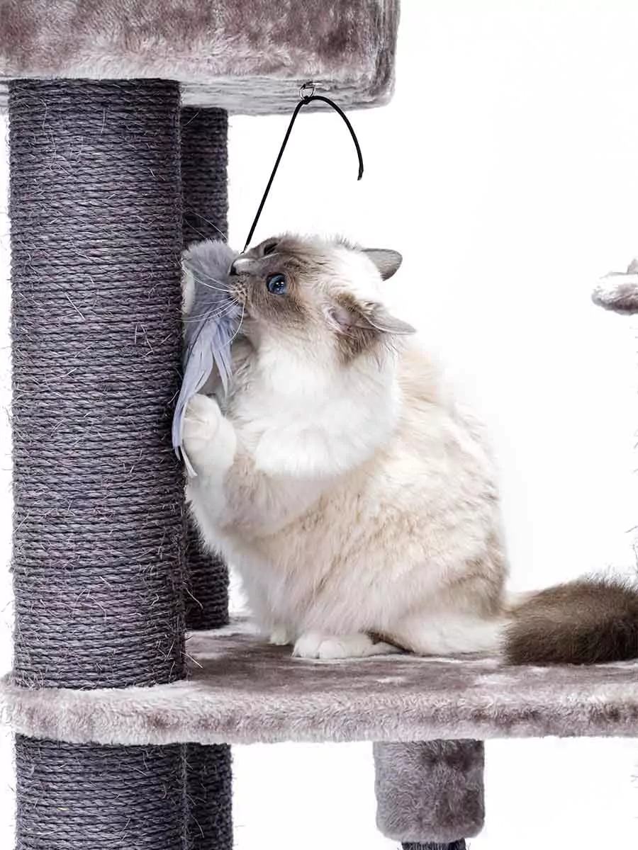 Vista 170 Cappuccino Kattenkrabpaal - Afbeelding 12