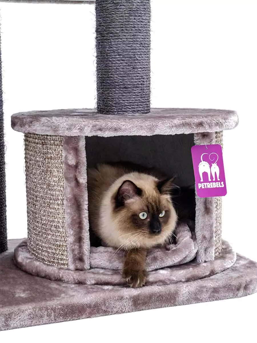 Vista 170 Cappuccino Kattenkrabpaal - Afbeelding 4