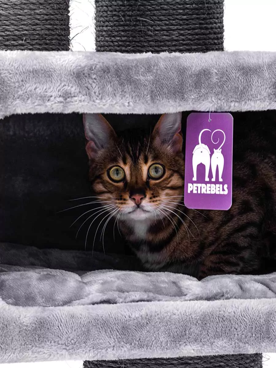 Parklane 131 Cappuccino Kattenkrabpaal - Afbeelding 6