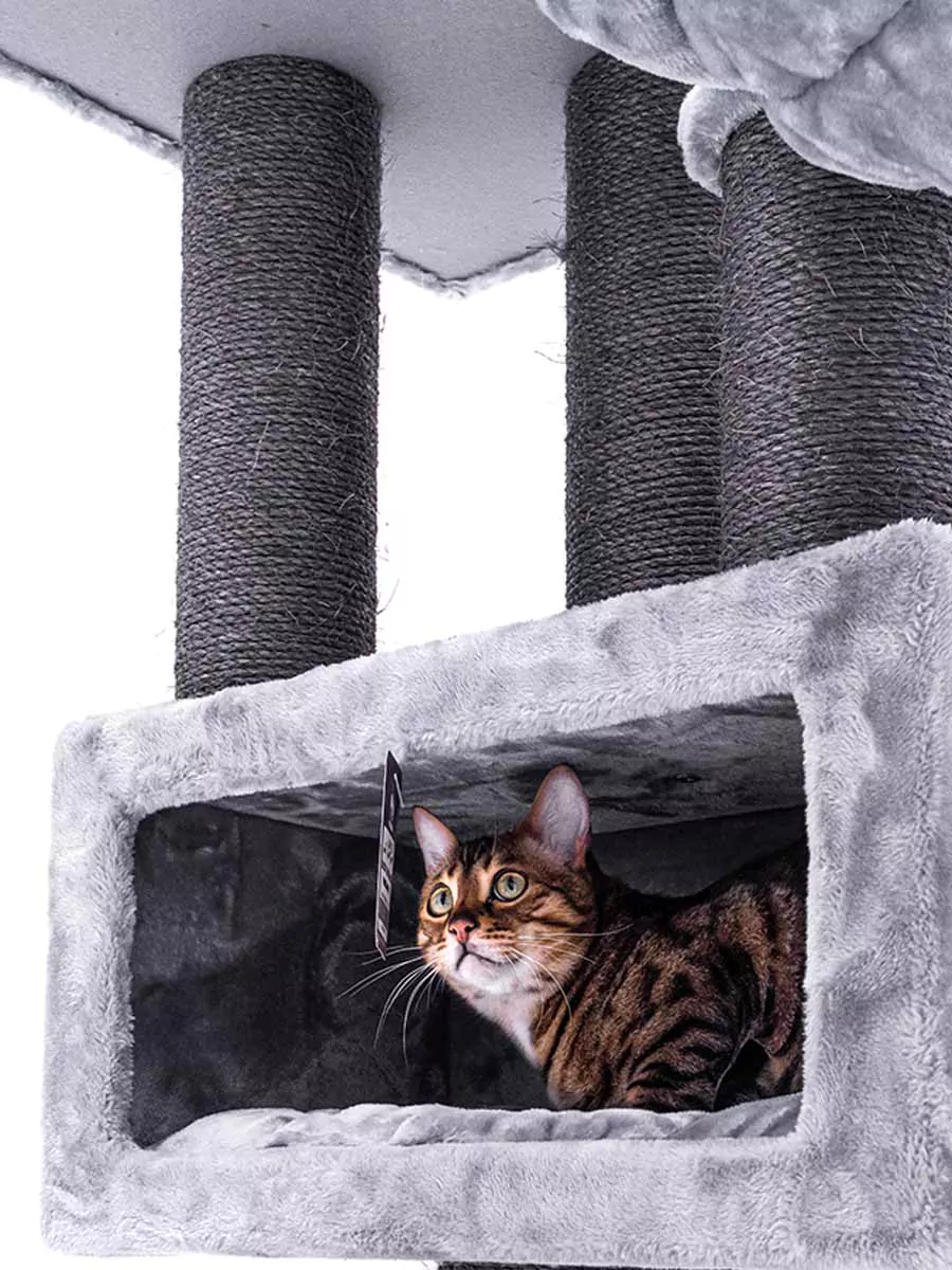 Parklane 131 Cappuccino Kattenkrabpaal - Afbeelding 5