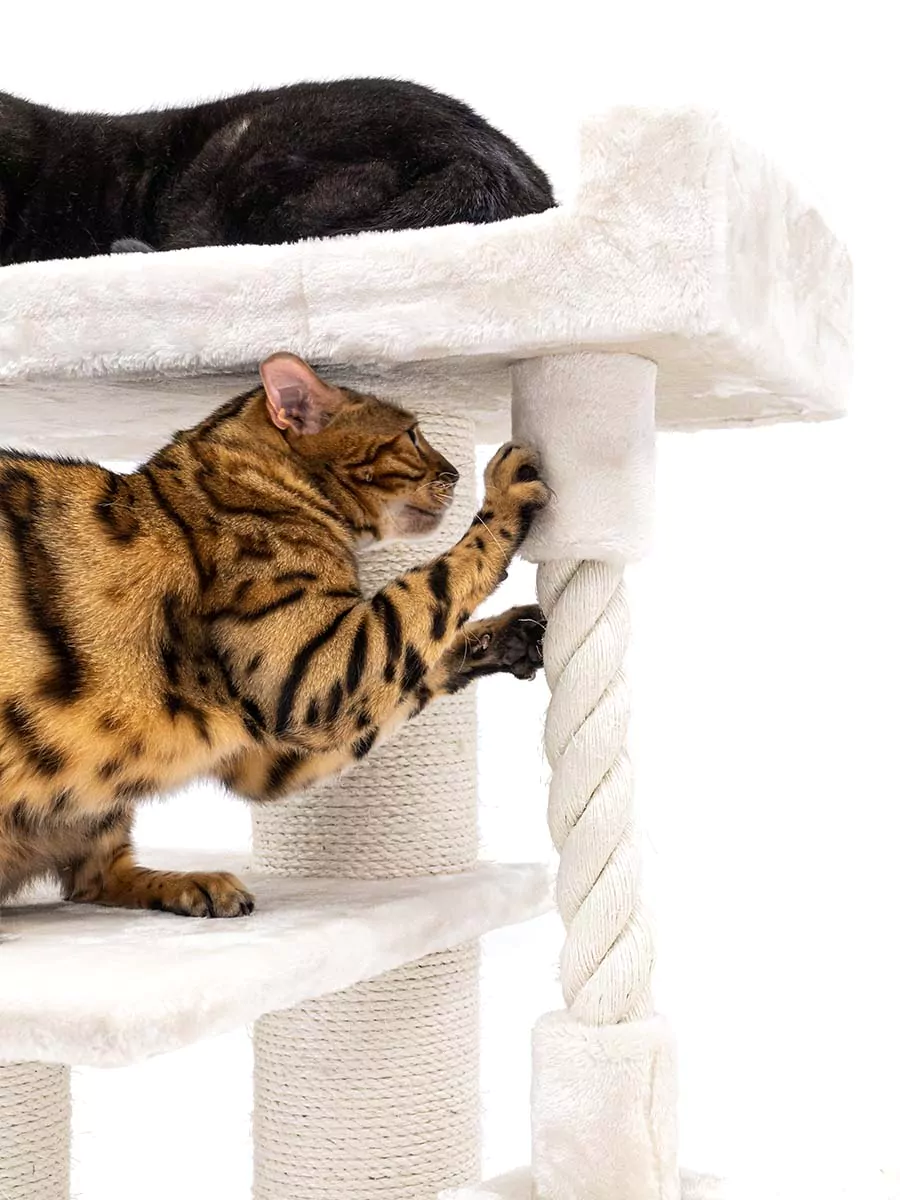 Parklane 175 Crèmekleurige kattenkrabpaal - Afbeelding 6