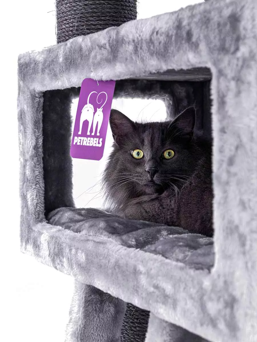 Parklane 175 Grijze Kattenkrabpaal - Afbeelding 11