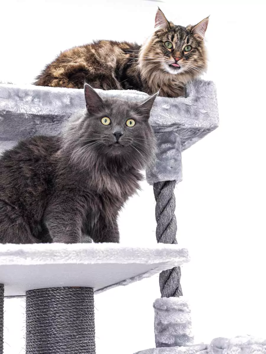 Parklane 175 Grijze Kattenkrabpaal - Afbeelding 4