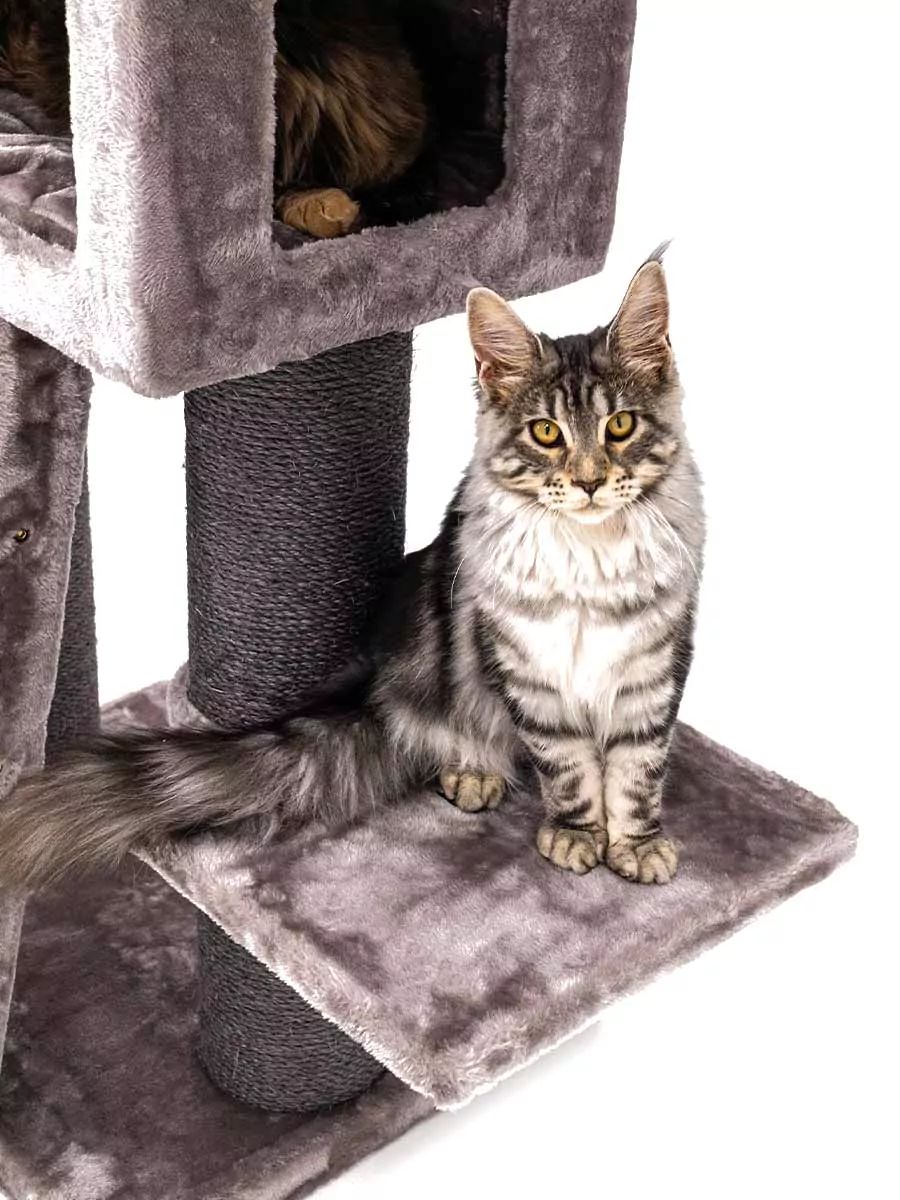 Parklane 175 Cappuccino Kattenkrabpaal - Afbeelding 9