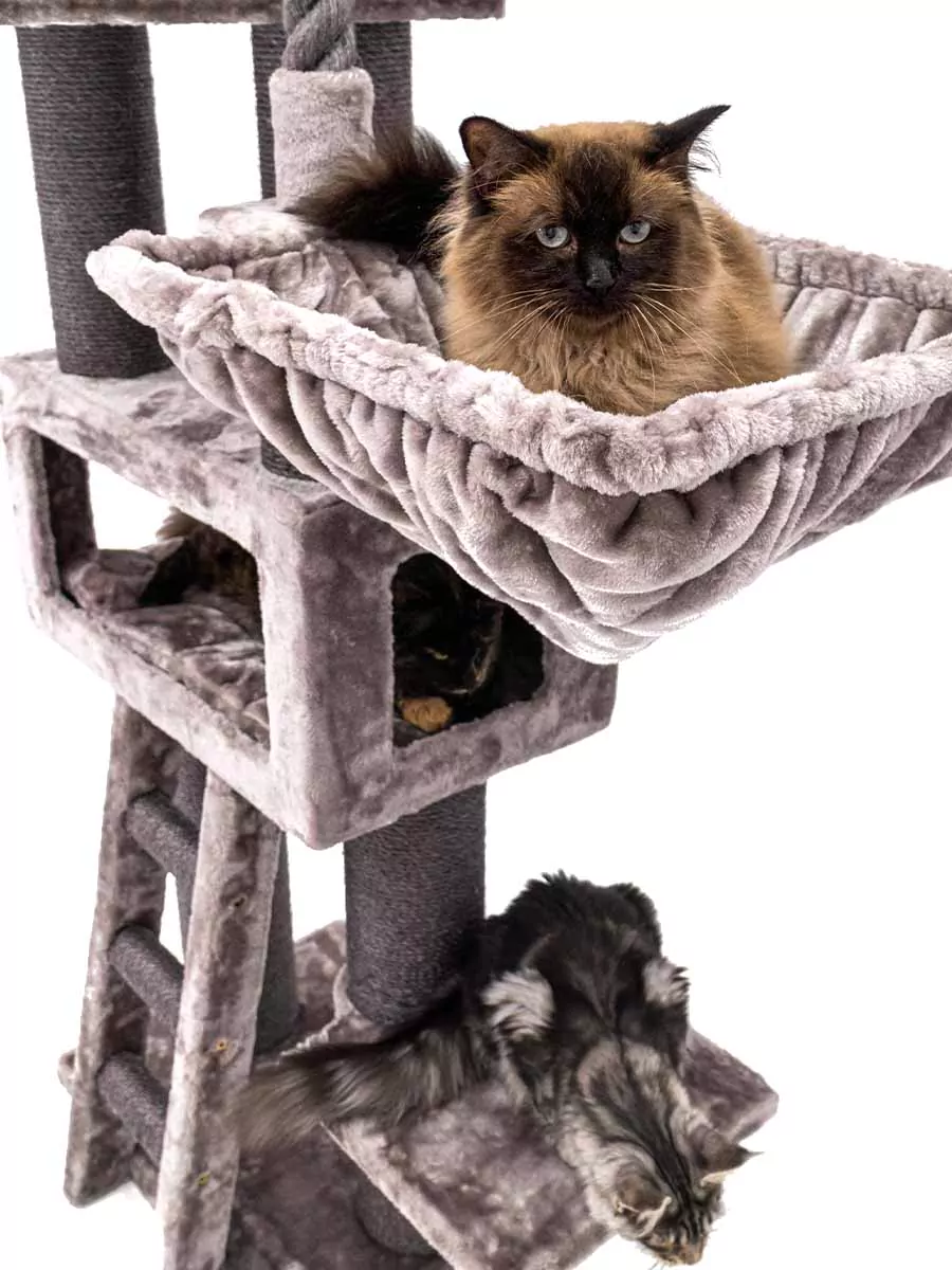 Parklane 175 Cappuccino Kattenkrabpaal - Afbeelding 8