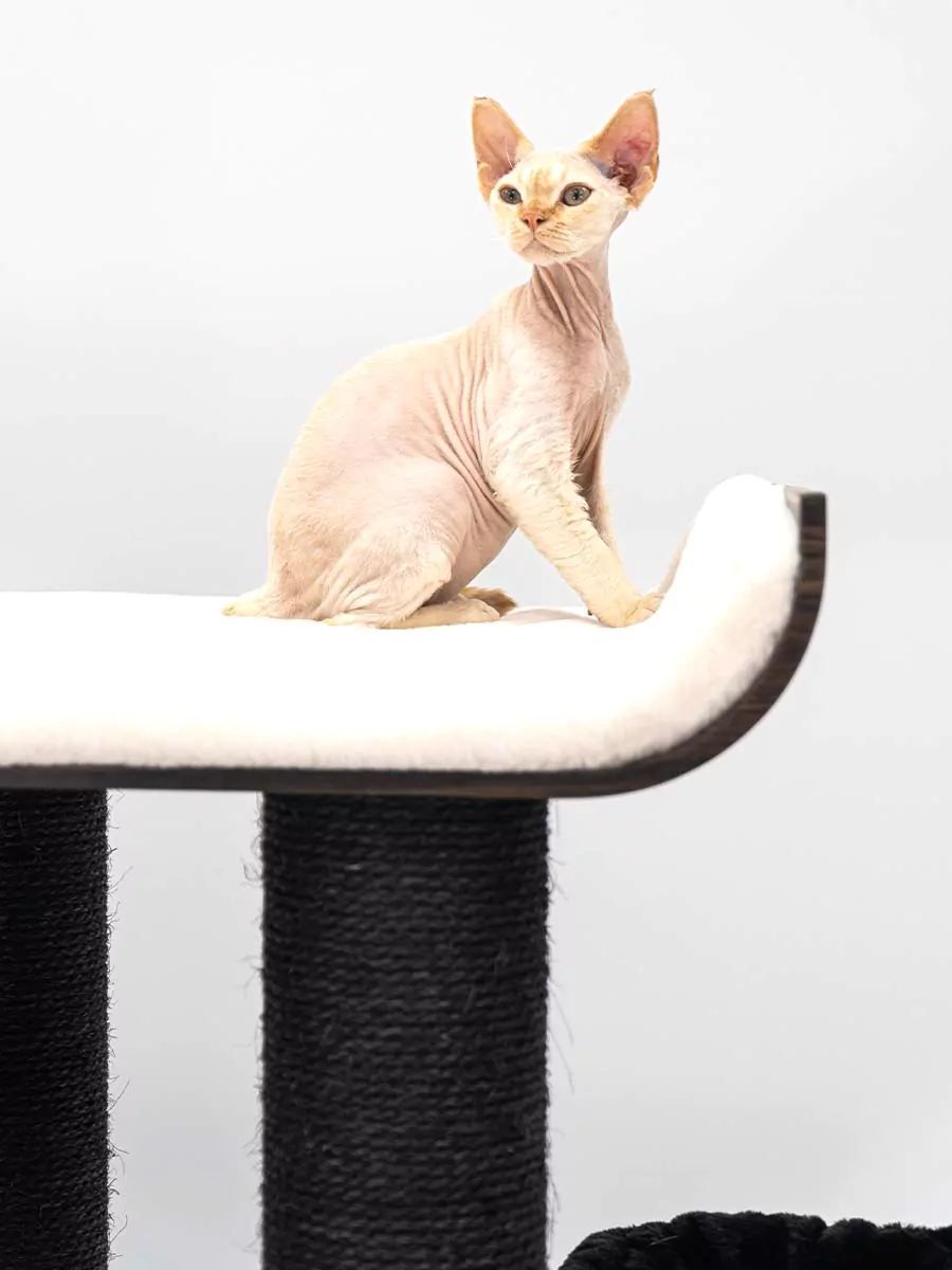 Scorpius 187 Kattenkrabpaal - Afbeelding 3