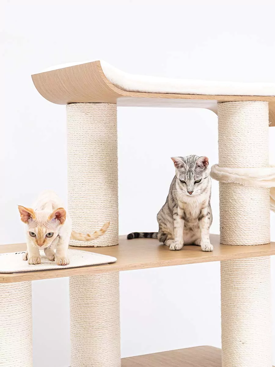 Tiragraffi Virgo 173 Roestig eiken - Afbeelding 2