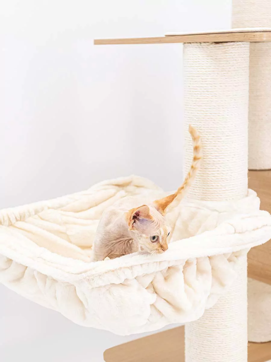 Tiragraffi Virgo 173 Roestig eiken - Afbeelding 3