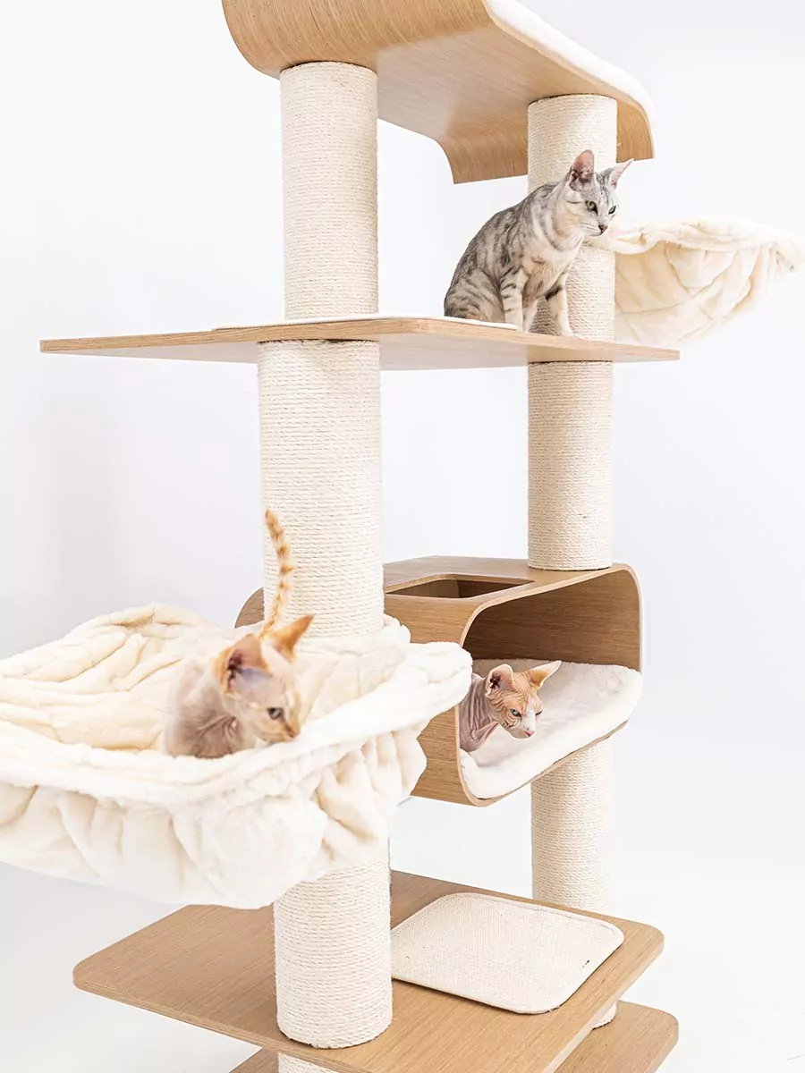 Tiragraffi Virgo 173 Roestig eiken - Afbeelding 4