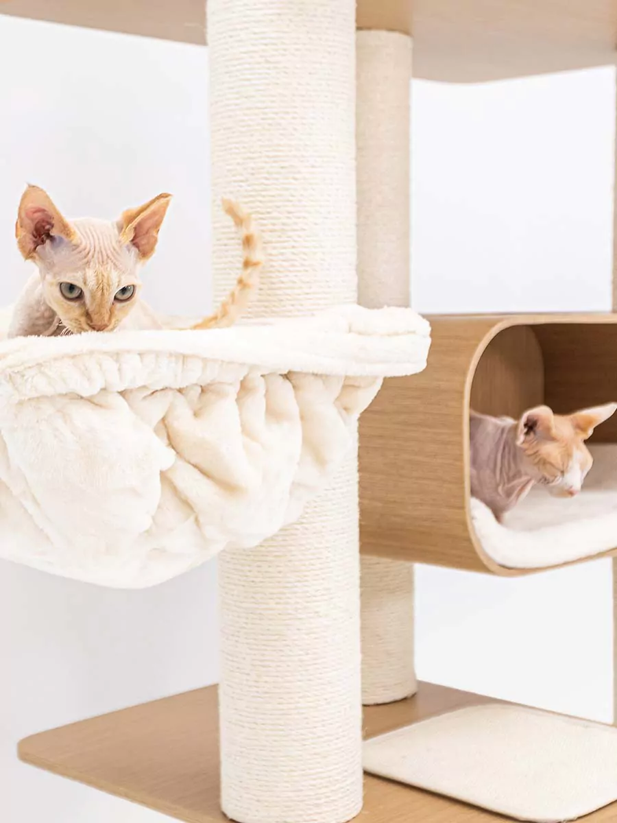 Tiragraffi Virgo 173 Roestig eiken - Afbeelding 5