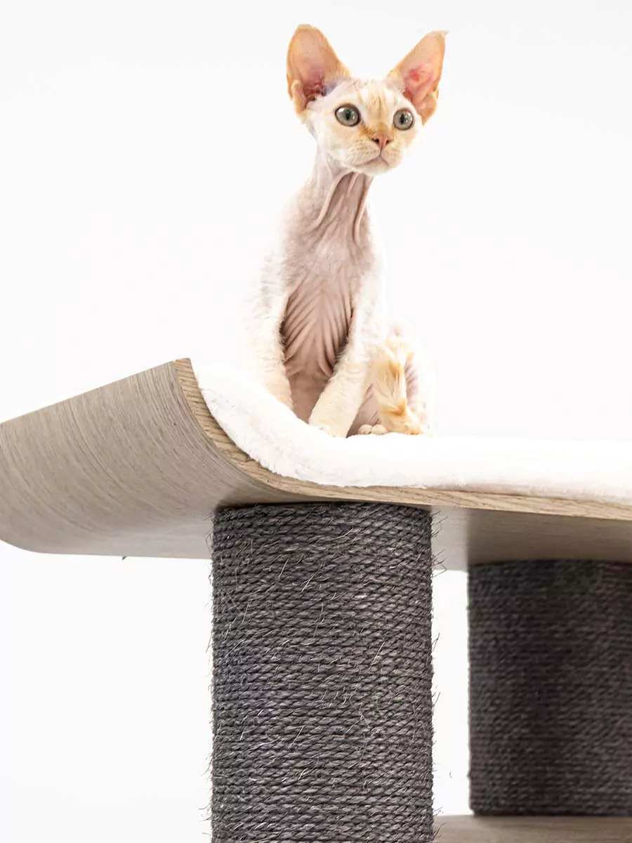 Virgo 173 Kattenkrabpaal Antiek Grijs - Afbeelding 13