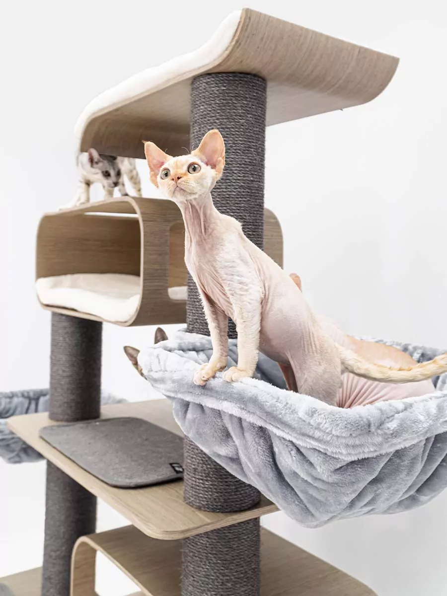 Maagd 196 Oude Grijze Kattenkrabpaal - Afbeelding 7