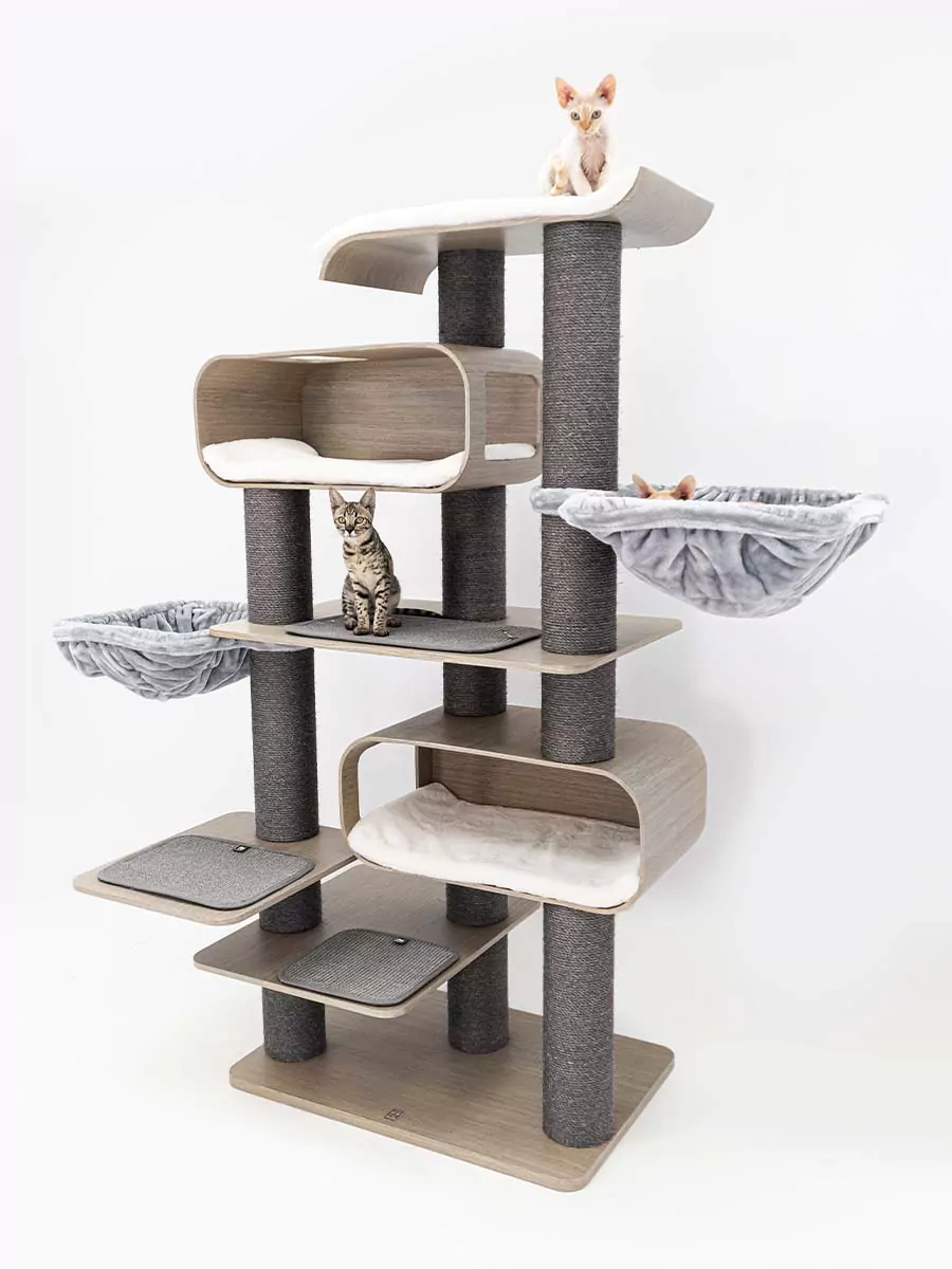 Maagd 196 Oude Grijze Kattenkrabpaal - Afbeelding 5