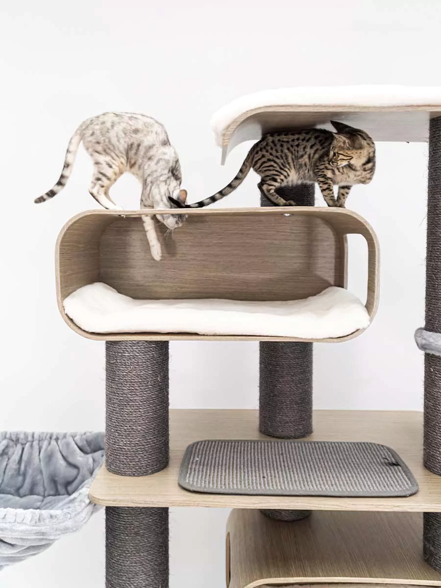 Maagd 196 Oude Grijze Kattenkrabpaal - Afbeelding 11