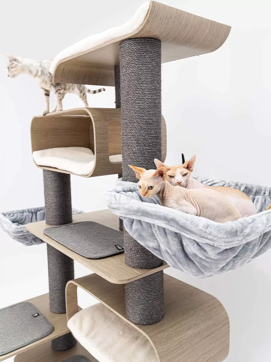 Maagd 196 Oude Grijze Kattenkrabpaal - Afbeelding 12