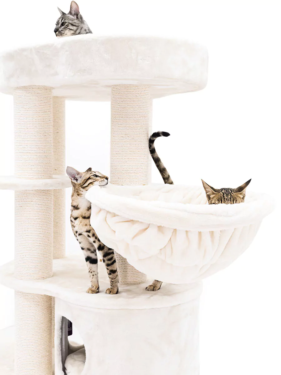 Isabella 170 Crème Kattenkrabpaal - Afbeelding 6