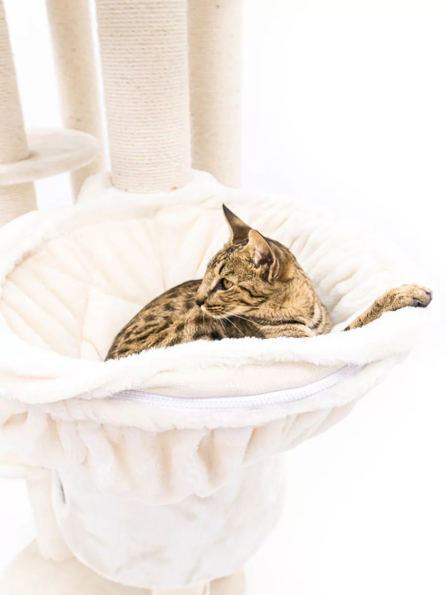 Isabella 170 Crème Kattenkrabpaal - Afbeelding 7