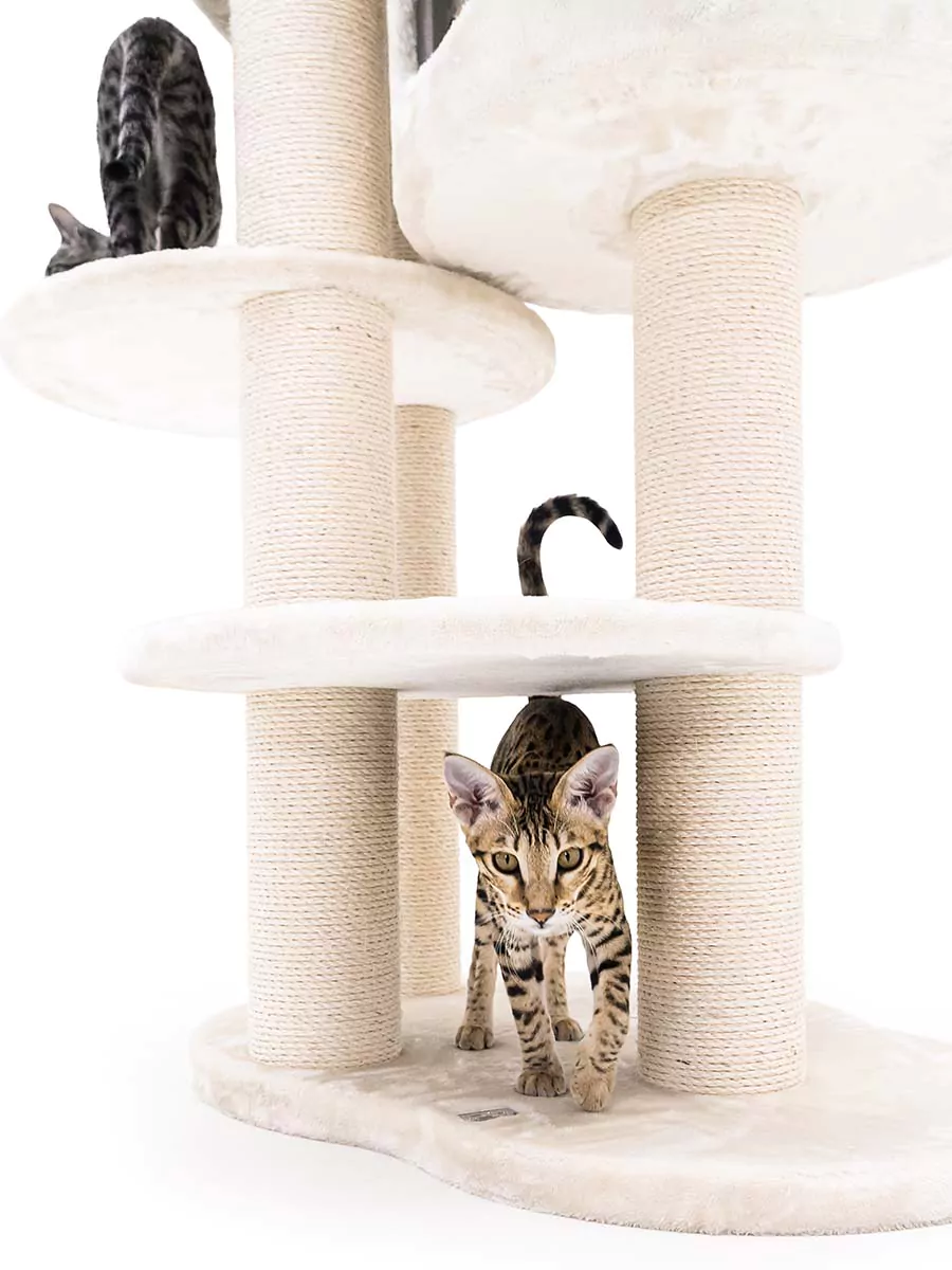 Isabella 170 Crème Kattenkrabpaal - Afbeelding 10