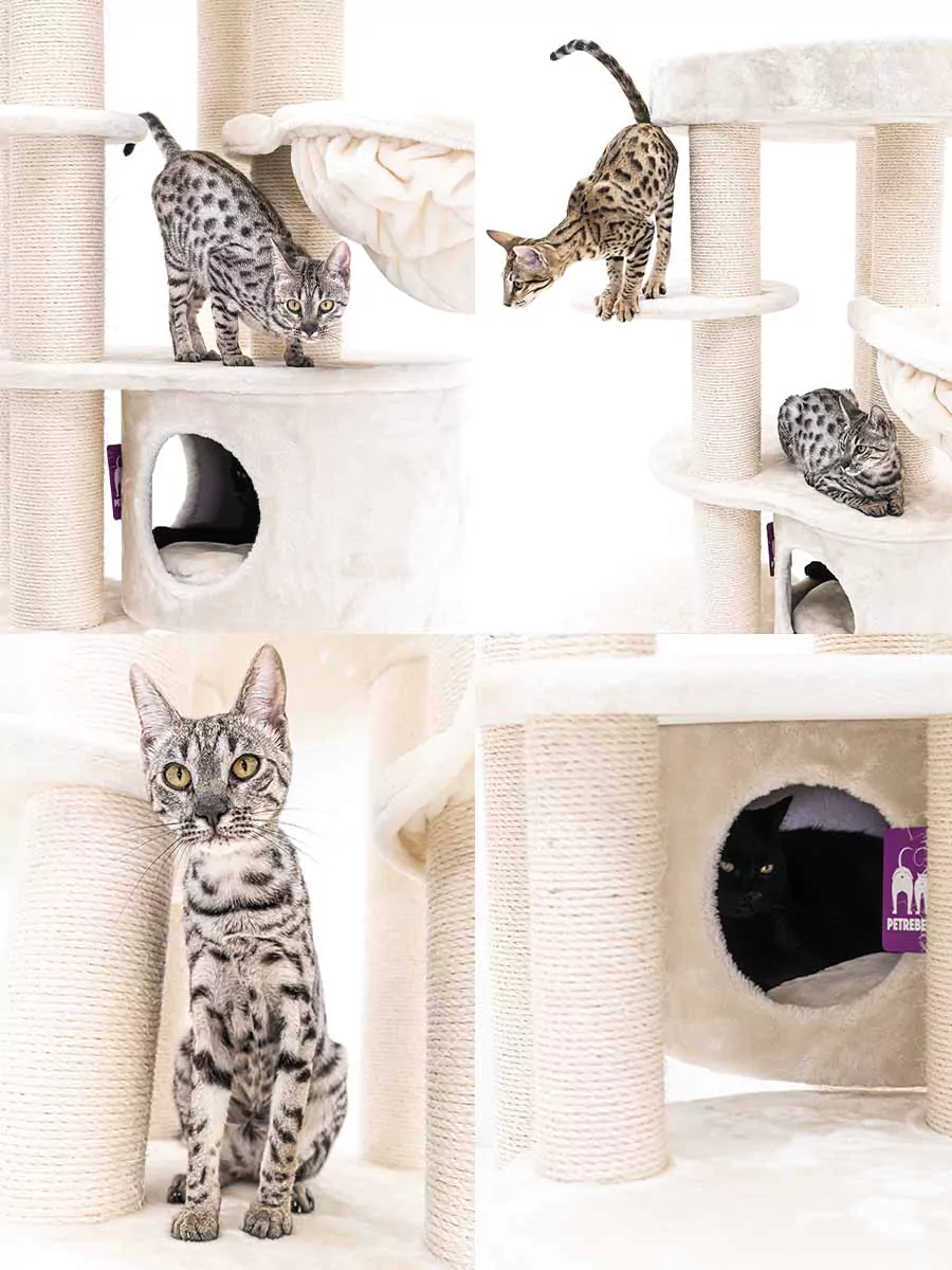 Isabella 170 Crème Kattenkrabpaal - Afbeelding 8