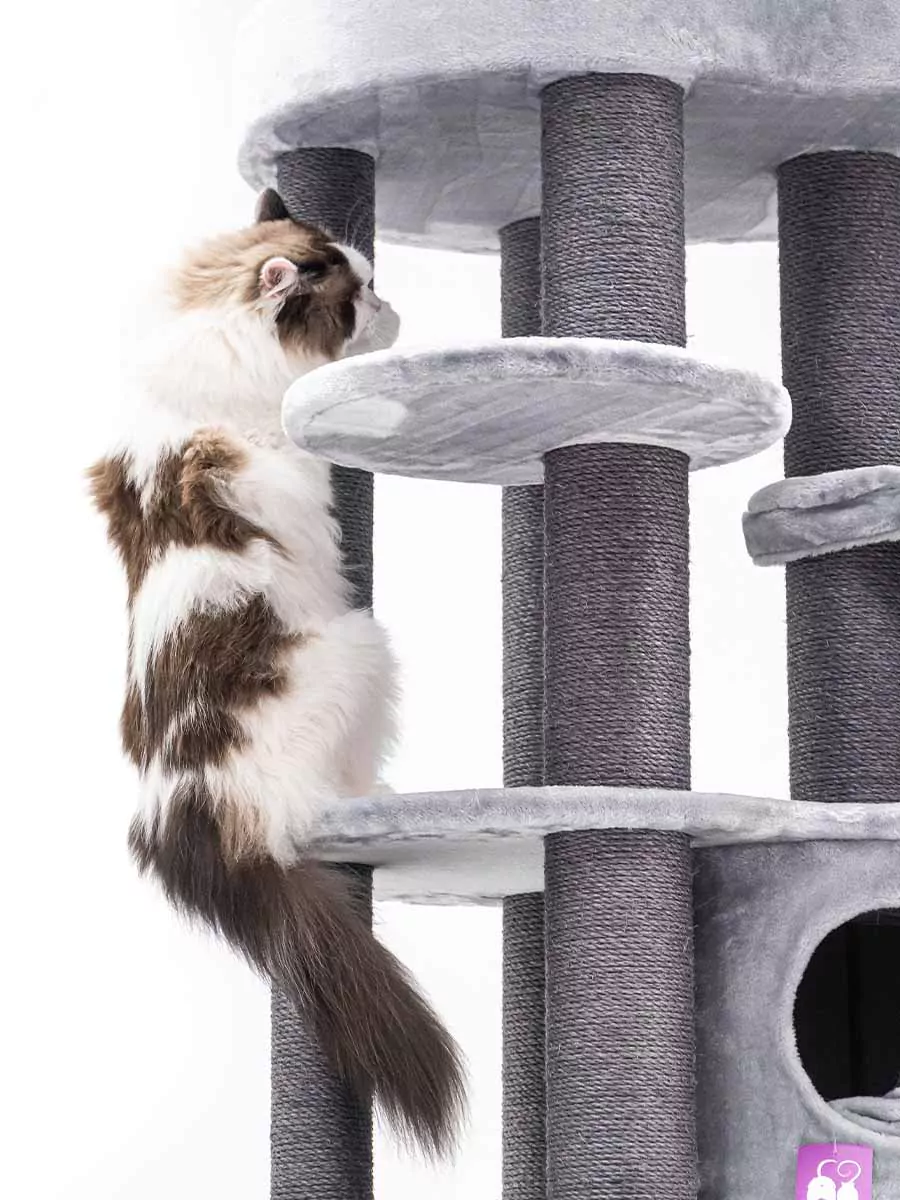 Isabella 170 Grijze Kattenkrabpaal - Afbeelding 6