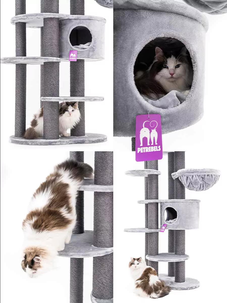 Isabella 170 Grijze Kattenkrabpaal - Afbeelding 4