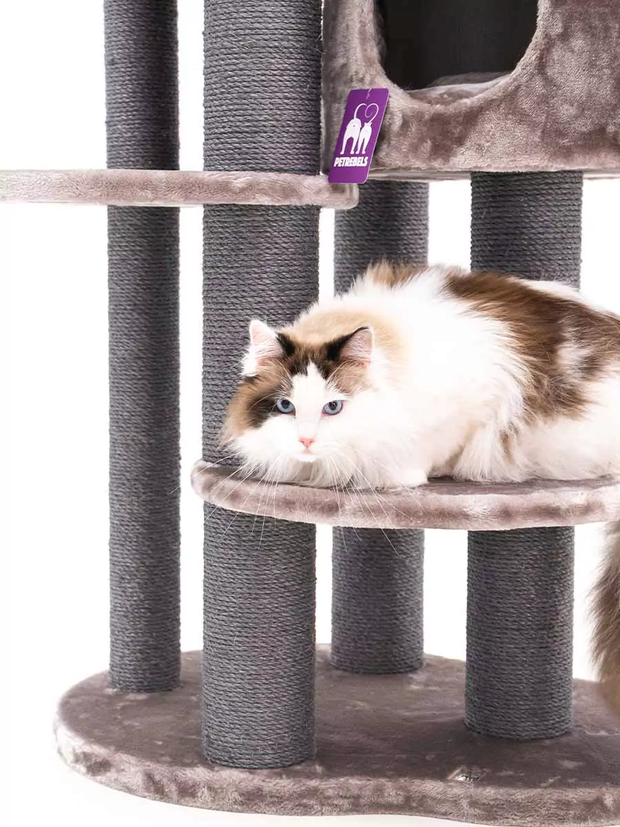 Isabella 170 Cappuccino Kattenkrabpaal - Afbeelding 6