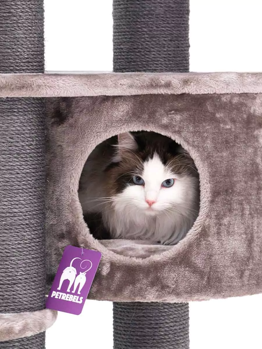 Isabella 170 Cappuccino Kattenkrabpaal - Afbeelding 3