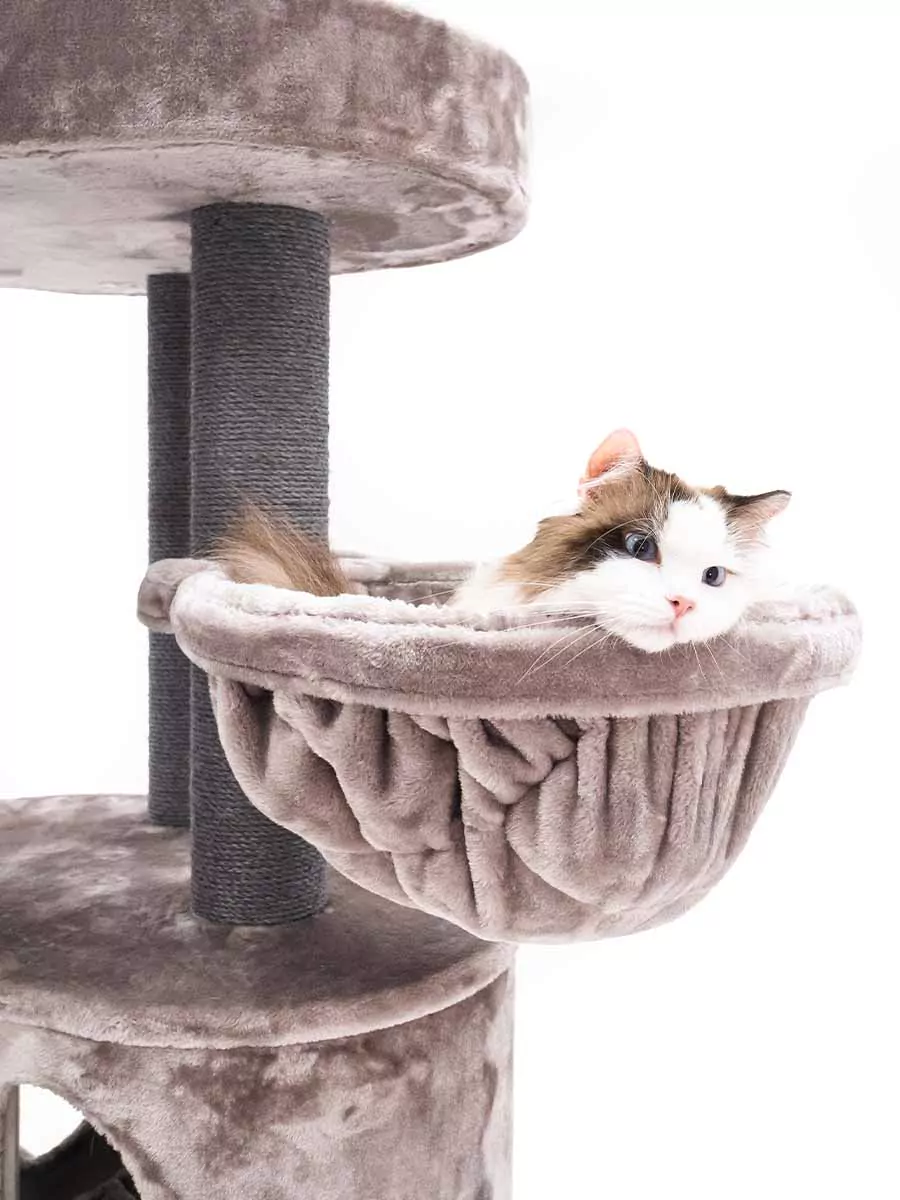 Isabella 170 Cappuccino Kattenkrabpaal - Afbeelding 8