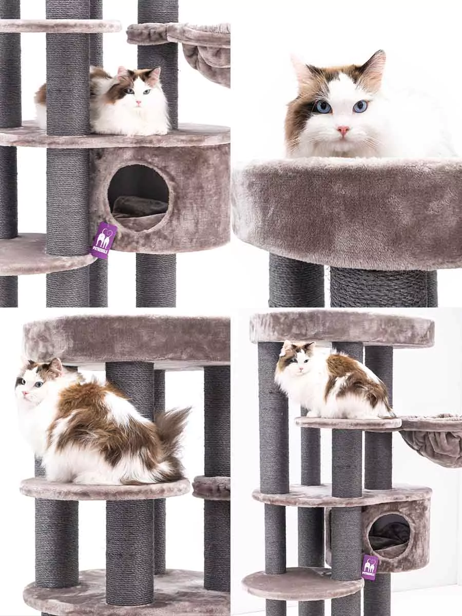 Isabella 170 Cappuccino Kattenkrabpaal - Afbeelding 4