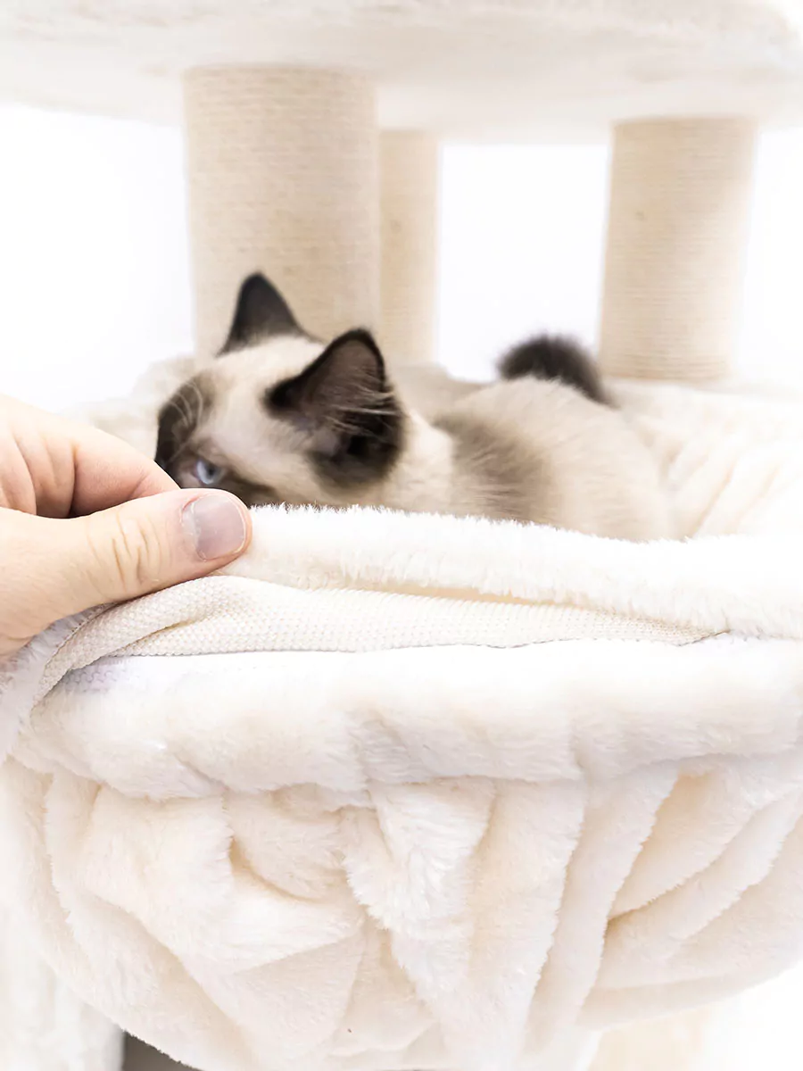 Isabella 210 Crème Kattenkrabpaal - Afbeelding 6