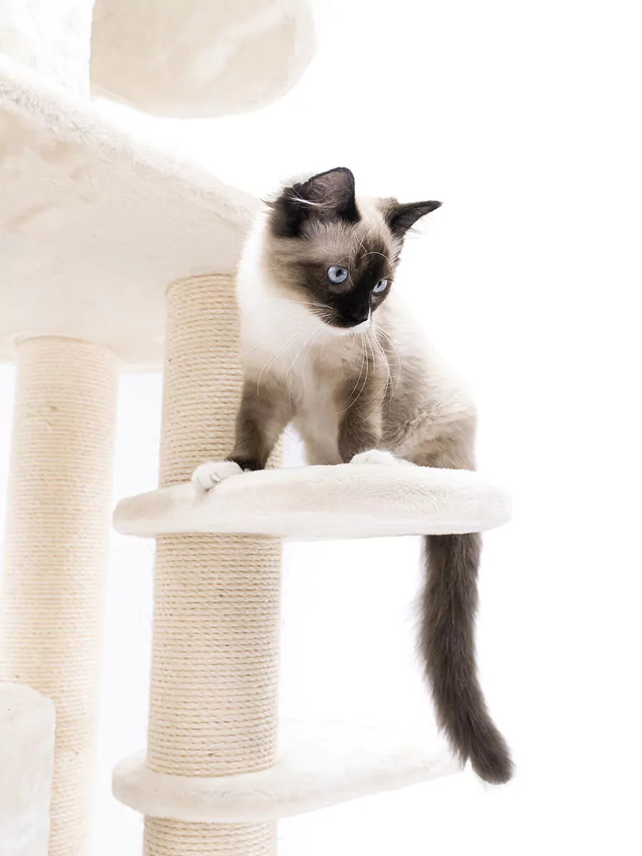 Isabella 210 Crème Kattenkrabpaal - Afbeelding 3