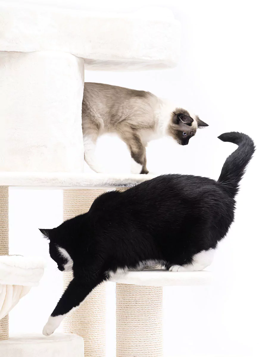 Isabella 210 Crème Kattenkrabpaal - Afbeelding 4