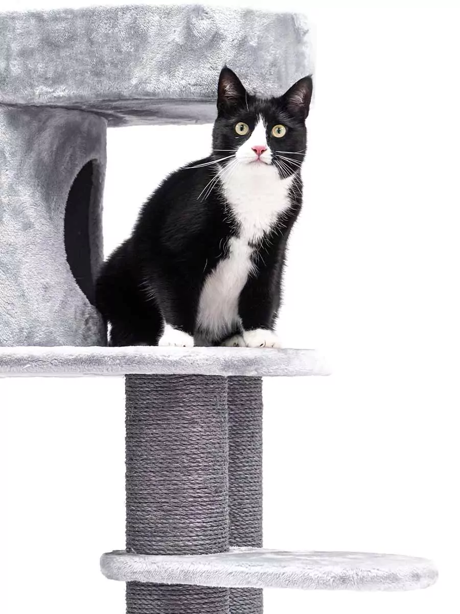 Isabella 210 Grijze Kattenkrabpaal - Afbeelding 8