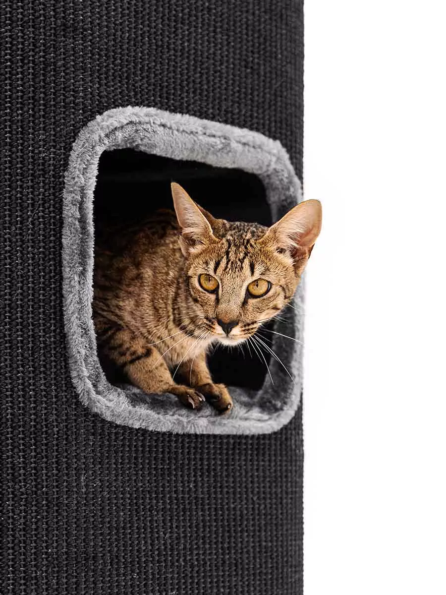 Kras de ton Vault 118 Pepper - Afbeelding 2