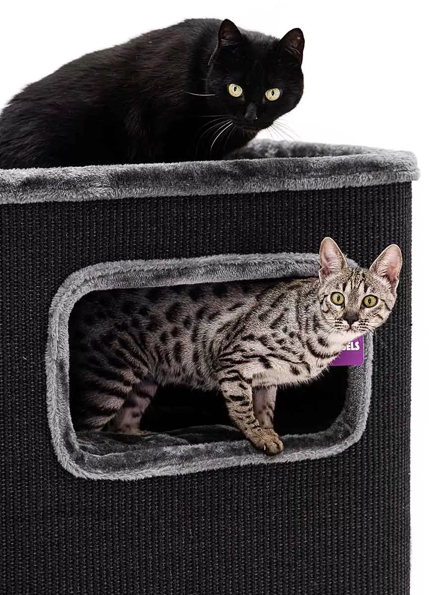 Kras de ton Vault 118 Pepper - Afbeelding 7